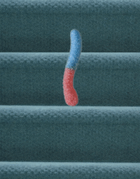 Candy Stairs GIF by Trolli