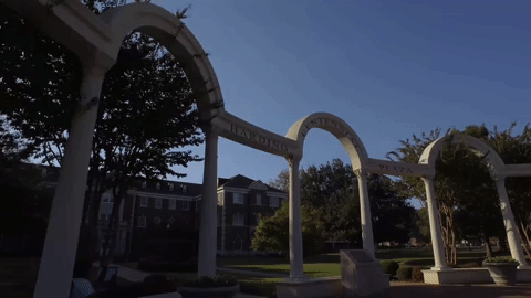 college conway GIF by University of Central Arkansas