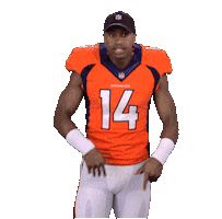 Denver Broncos Sticker Sticker by NFL