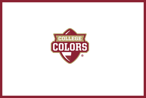Boston College Eagles Sticker by College Colors Day