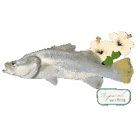 Ocean Fishing Sticker by Tropical Waters