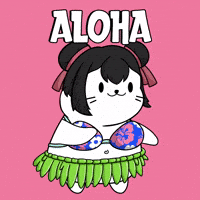 Dance Hello GIF by Lil Sappys