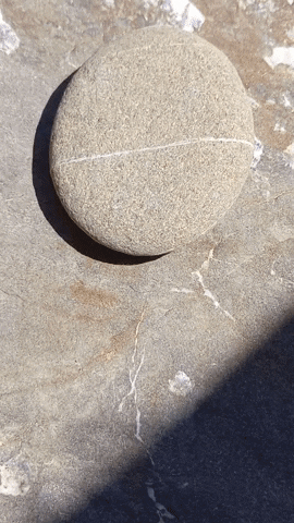 Simongip giphygifmaker GIF