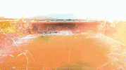 Barras Alajuelense GIF by TD Más