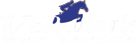 VER-Dinale giphyupload reitturnier verden verdinale Sticker