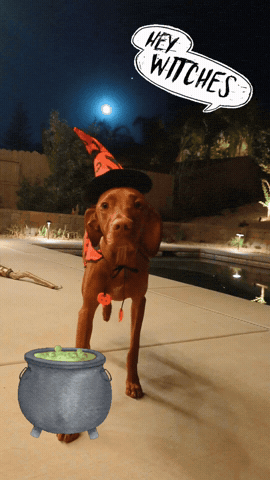 Halloween Magic GIF