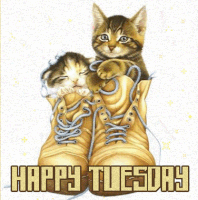 Happy Tuesday GIF