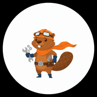 Scienceforkids GIF by Wunderkind_Spiele