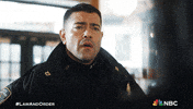 Episode 17 Nbc GIF by Law & Order