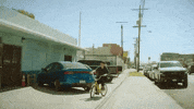 Crush GIF