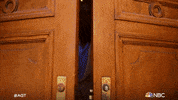 Season 17 Finale GIF by America's Got Talent