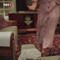 Merve Dizdar Cleaning GIF by TRT