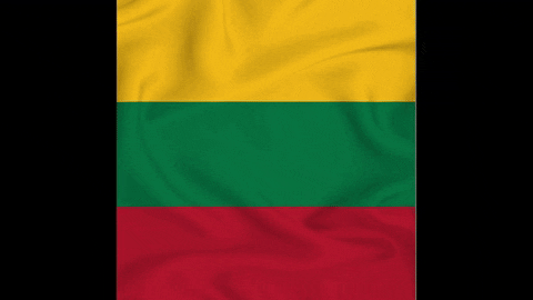 Lithuania Flag GIF by Tilis