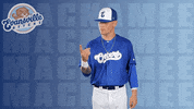 Too Much Baseball GIF by Evansville Otters