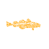 Kerecis cod kerecis fish skin Sticker