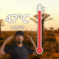 117 Degrees Fahrenheit GIF