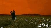 the crow GIF by FilmStruck