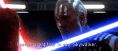 Revenge Of The Sith Episode 3 GIF by Star Wars