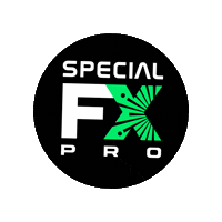 Special Effects Logo Sticker by FioreFxpro