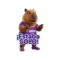 Wowfut Sticker by WOW Perú