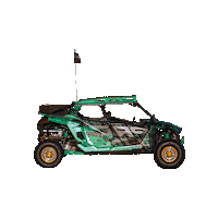 Rzr Sticker by Proline Wraps