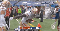 Regular Season Football GIF by NFL