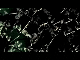 Mike D Bass GIF by Killswitch Engage