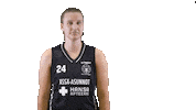 Sport Basketball Sticker by Basket_fi