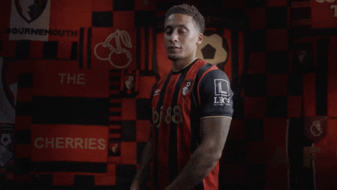 Premier League Football GIF by AFC Bournemouth