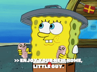 season 6 pet or pets GIF by SpongeBob SquarePants