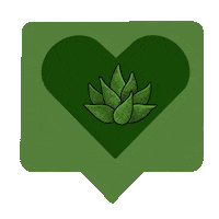 Seminole Heights Diy Sticker