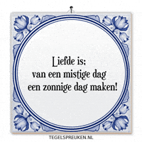 Humor Nl GIF by Tegelspreuken.nl