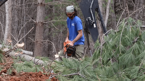 Chris Burns Chainsaw GIF by JC Property Professionals
