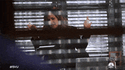 Nbc GIF by SVU