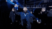 Sport GIF by UFC