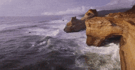 oregon GIF