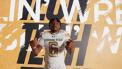 Georgia Tech Football GIF by Georgia Tech Yellow Jackets