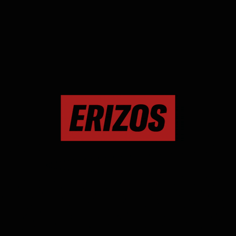 erizosstore beach surf blood waves GIF
