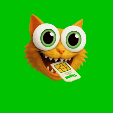 Cat Animation GIF by KPN