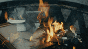 austinsnellmusic music sad rock country GIF
