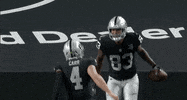 Celebrate We Did It GIF by Las Vegas Raiders