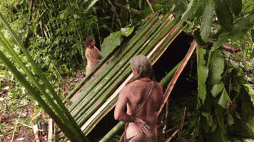 Are we having fun yet?