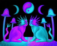 deepspaceviolet rainbow trippy psychedelic space GIF