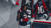 Football Celebration GIF by New England Patriots
