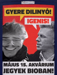 Akva GIF by Keddi Kosár