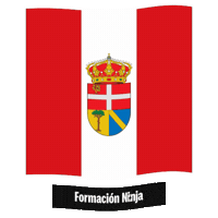 Castilla Y Leon Flag Sticker by Formación Ninja