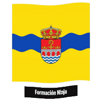 Castilla Y Leon Flag Sticker by Formación Ninja