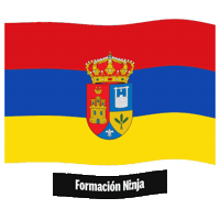 Castilla Y Leon Flag Sticker by Formación Ninja