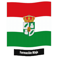 Castilla Y Leon Flag Sticker by Formación Ninja