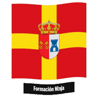 Castilla Y Leon Flag Sticker by Formación Ninja